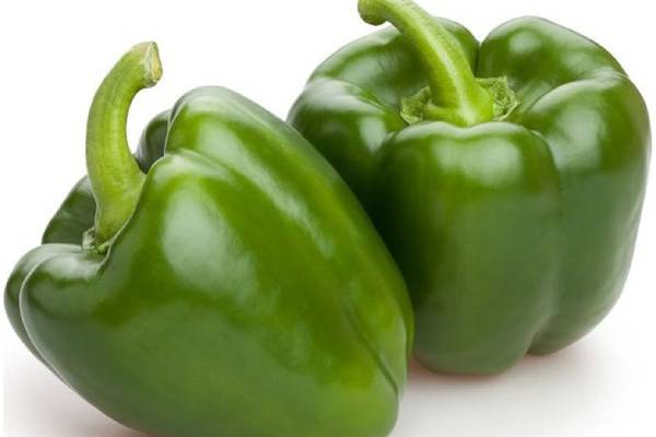 خرید و قیمت فلفل دلمه سبز + فروش صادراتی